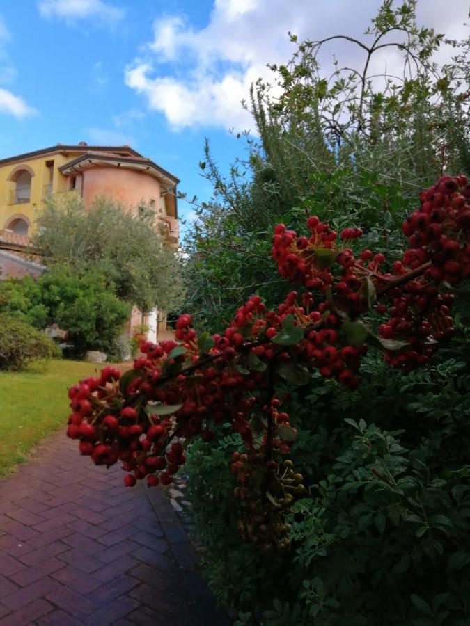 Locanda Tipica Sa Corte Oliena Exterior photo